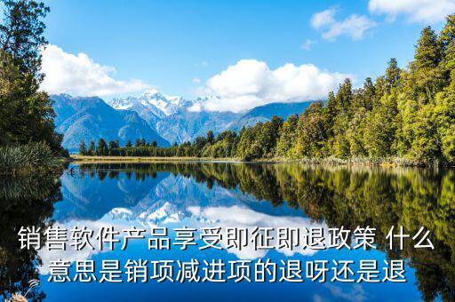 銷(xiāo)售軟件產(chǎn)品享受即征即退政策 什么意思是銷(xiāo)項(xiàng)減進(jìn)項(xiàng)的退呀還是退