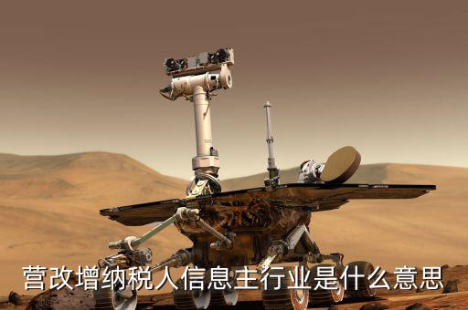 國(guó)稅主行業(yè)都是什么意思，營(yíng)改增納稅人信息主行業(yè)是什么意思