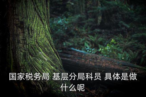國(guó)地稅征管改革黨員干部干什么，國(guó)家稅務(wù)局 基層分局科員 具體是做什么呢