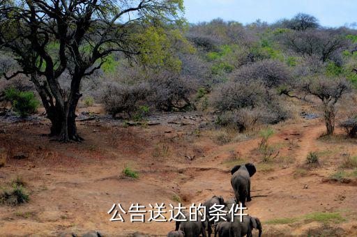 稅務(wù)局公告送達(dá)需要什么條件，公告送達(dá)的條件