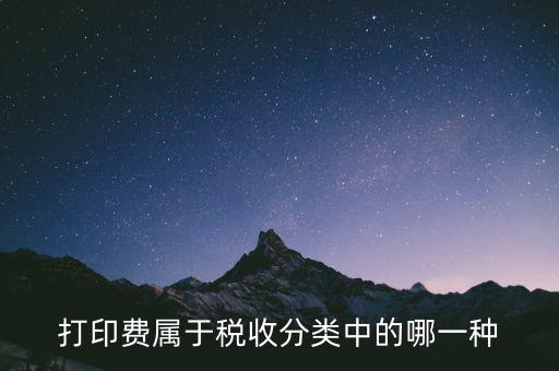 打字復(fù)印是什么稅種，我在鄉(xiāng)鎮(zhèn)辦了一家打字復(fù)印店請(qǐng)問(wèn)需交納哪些稅