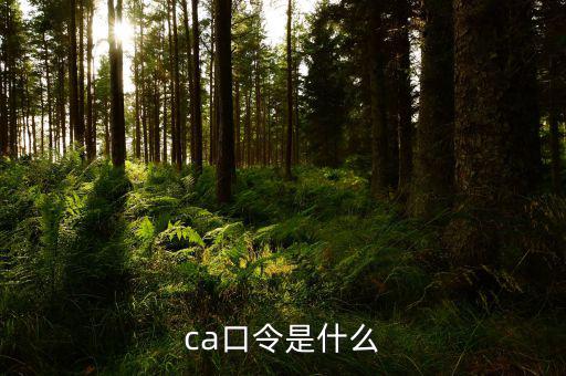 ca證書驗(yàn)證口令是什么，ca口令是什么