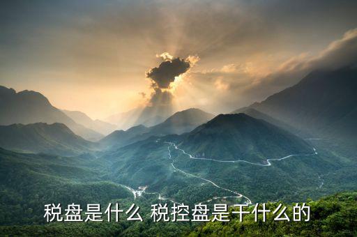 億企贏稅盤是什么，稅盤是什么 稅控盤是干什么的
