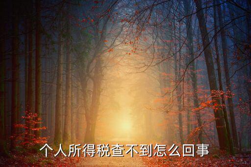 個人所得稅扣減為什么查不到，個人所得稅為什么不能在網(wǎng)上查找