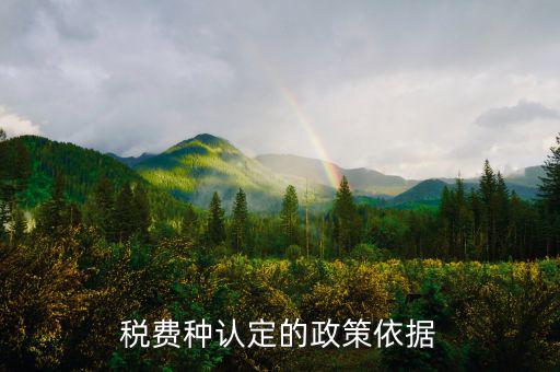 什么是稅費種認定信息查詢，稅費種認定信息在哪里查看