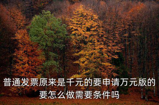 普通發(fā)票原來是千元的要申請(qǐng)萬元版的要怎么做需要條件嗎