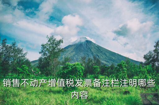 不動產(chǎn)開具專票必須備注什么，非房地產(chǎn)企業(yè)不動產(chǎn)開票是否需備注詳細地址