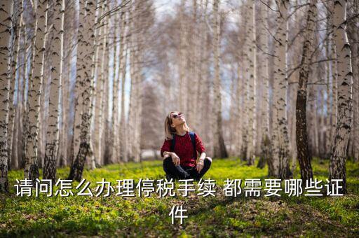 停供發(fā)票需要注意什么手續(xù)，停國稅要怎么辦理 要什么手續(xù)
