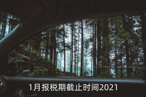 1月份地稅什么時候申報，報稅一般都是每個月什么時候報稅