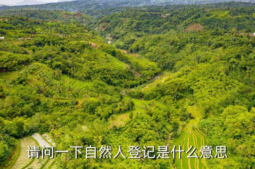 自然人登錄是什么，自然人密碼是什么