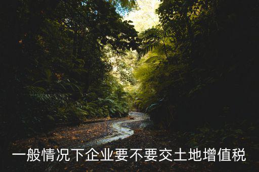 什么企業(yè)交土地增值稅，一般情況下企業(yè)要不要交土地增值稅