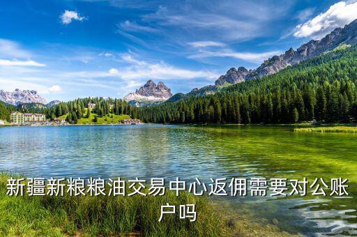 新疆地稅用戶名是什么，全國會(huì)計(jì)繼續(xù)教育網(wǎng)注冊(cè)用戶名怎樣填
