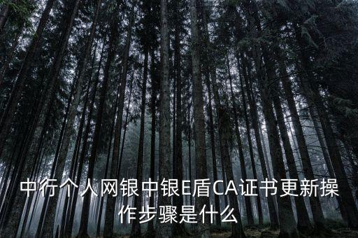 升級ca需要什么，CA證書怎么從副盤升級成正盤