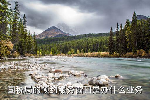 國稅預(yù)約服務(wù)什么意思，個(gè)人預(yù)約辦稅網(wǎng)上預(yù)約要去稅務(wù)局嗎