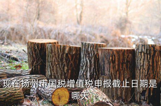 揚(yáng)州10月稅務(wù)申報什么時候，個人所得稅10月份申報期限是多少