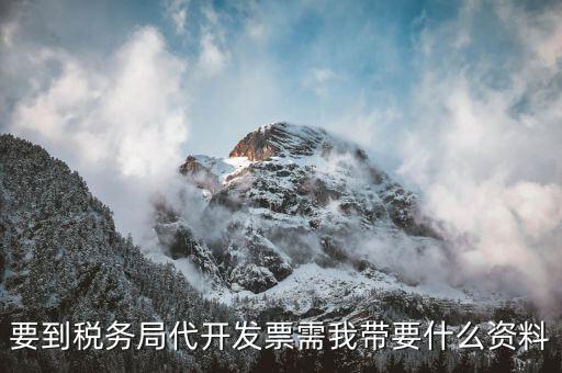 個人稅務(wù)局代開發(fā)需要什么資料，稅局代開發(fā)發(fā)票需要帶什么資料