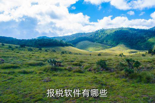 四川報(bào)稅軟件叫什么名字，網(wǎng)上報(bào)稅的那個(gè)軟件叫什么呀