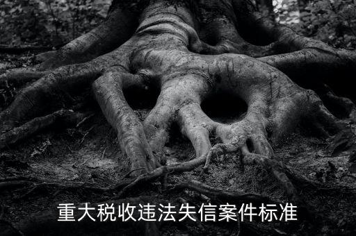 重大稅收違法是什么意思，實名辦稅黑名單納稅人是什么意思