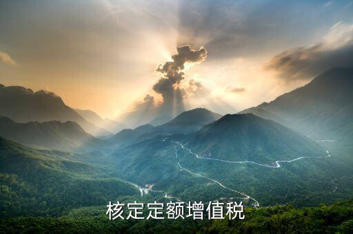 核定定額什么意思，什么叫上網(wǎng)電量和核定的定額稅率