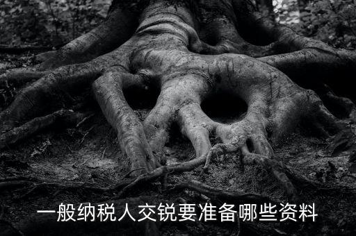 交稅需要什么資料，一般納稅人交銳要準(zhǔn)備哪些資料