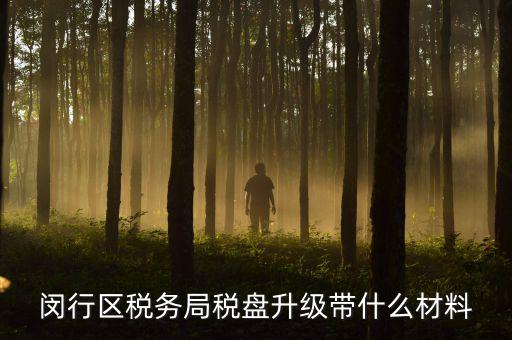 去升級稅控盤要帶什么，去國稅稅控盤升級需要帶哪些材料