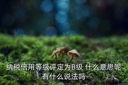 國(guó)稅b級(jí)信用是什么意思，納稅信用等級(jí)評(píng)定為B級(jí) 什么意思呢有什么說(shuō)法嗎