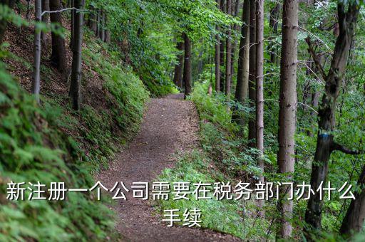 新辦企業(yè)需要到地稅辦理什么手續(xù)費(fèi)，新注冊(cè)一個(gè)公司需要在稅務(wù)部門(mén)辦什么手續(xù)