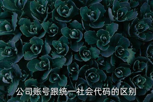 賬號(hào)上的統(tǒng)一社會(huì)代碼是什么意思，統(tǒng)一社會(huì)信用代碼有什么用