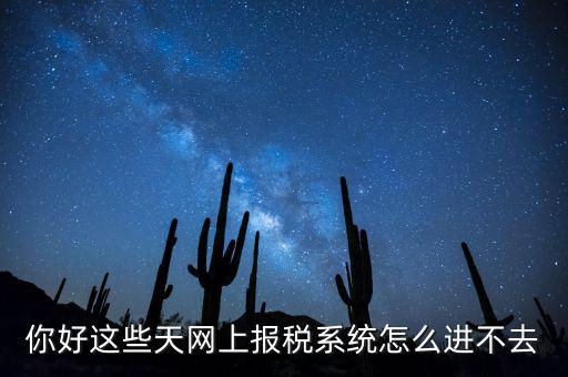 為什么個(gè)稅系統(tǒng)打不開，你好這些天網(wǎng)上報(bào)稅系統(tǒng)怎么進(jìn)不去