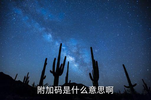 遼寧查發(fā)票有一個(gè)附加碼是什么，發(fā)票真?zhèn)尾樵兇a是什么