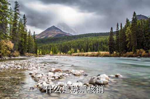 國(guó)稅局核銷是什么意思，增值稅專用發(fā)票核銷是什么意思