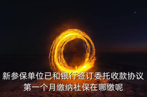 什么時(shí)候辦理授權(quán)劃繳協(xié)議，如何取得委托銀行劃轉(zhuǎn)地方稅費(fèi)授權(quán)書協(xié)議書去銀行還是去地稅