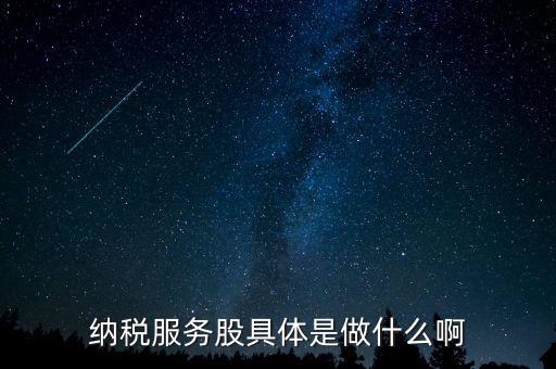 納稅服務股是什么意思，納稅服務股具體是做什么啊