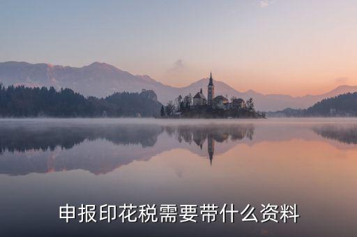辦理印花稅退稅要帶什么資料，辦理退稅賬號銀行開戶印鑒卡需要提交什么資料急急急