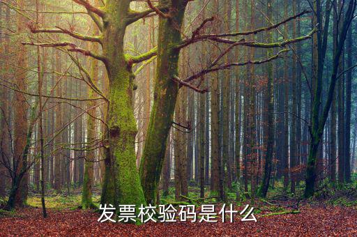 電子發(fā)票 查詢的驗證碼是什么，發(fā)票校驗碼是什么