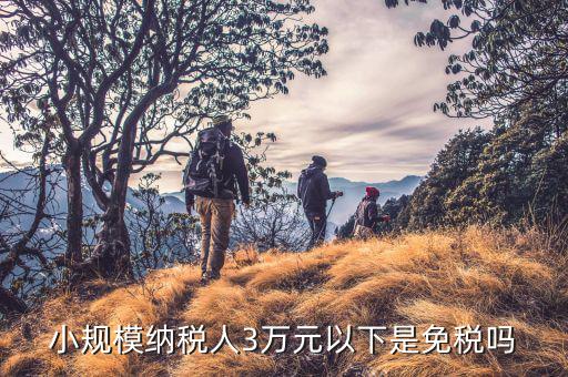 3萬以下免稅是什么意思，小規(guī)模納稅人3萬元以下是免稅嗎