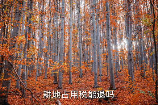 耕地占用稅什么情況可以退，占用耕地罰款后拆遷還能退嗎