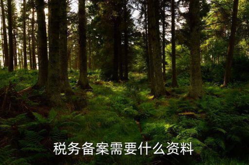 消費(fèi)稅免稅備案需要帶什么資料，理跨境服務(wù)免稅備案手續(xù)時(shí)需要提交哪些資料