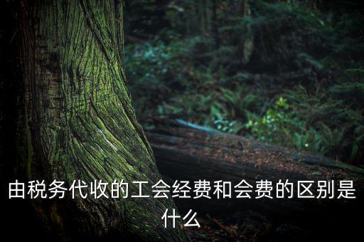 由稅務(wù)代收的工會經(jīng)費和會費的區(qū)別是什么