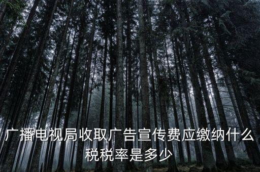宣傳費(fèi)屬于什么稅，廣播電視局收取廣告宣傳費(fèi)應(yīng)繳納什么稅稅率是多少