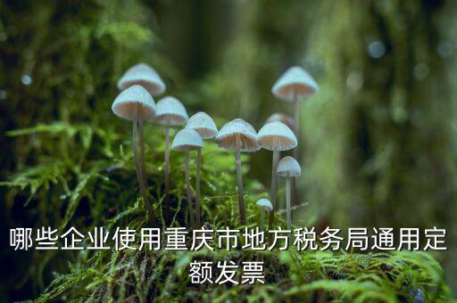 定額發(fā)票什么行業(yè)，哪些企業(yè)能買手撕定額發(fā)票小規(guī)模生產(chǎn)企業(yè)已經(jīng)開了普通發(fā)票能買