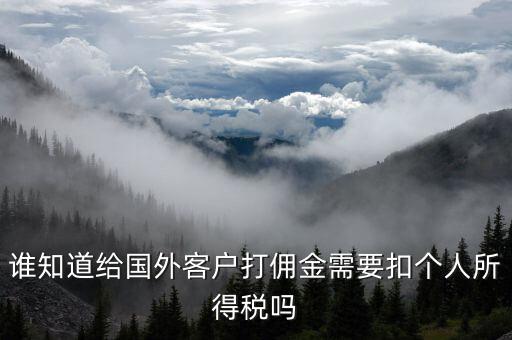 收到境外傭金交什么稅，關于國外支付國內(nèi)傭金方面的稅務問題