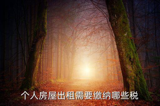個人租房交什么稅，個人出租房屋要交什么稅費