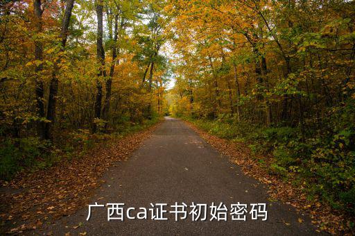 國說ca證書密碼是什么，ca證書密碼是什么