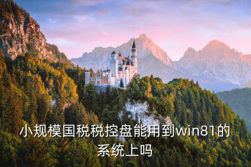 稅盤安裝支持什么系統(tǒng)下載，稅控發(fā)票開票軟件v2130170612能在win10上安裝嗎