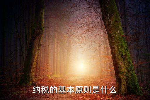 納稅原則是什么，納稅的基本原則是什么