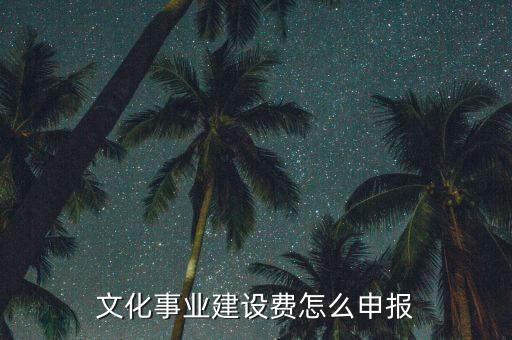 申報(bào)系統(tǒng)文化建設(shè)申報(bào)是什么時(shí)候，文化事業(yè)建設(shè)稅怎么申報(bào)