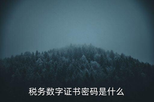 輸入稅務(wù)數(shù)字證書密碼是什么，稅務(wù)數(shù)字證書密碼是什么