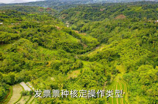 發(fā)票票種核定操作類(lèi)型