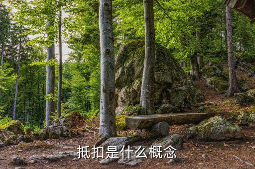 什么叫成本抵扣，一般納稅人進(jìn)項(xiàng)稅入成本和抵扣有什么區(qū)別